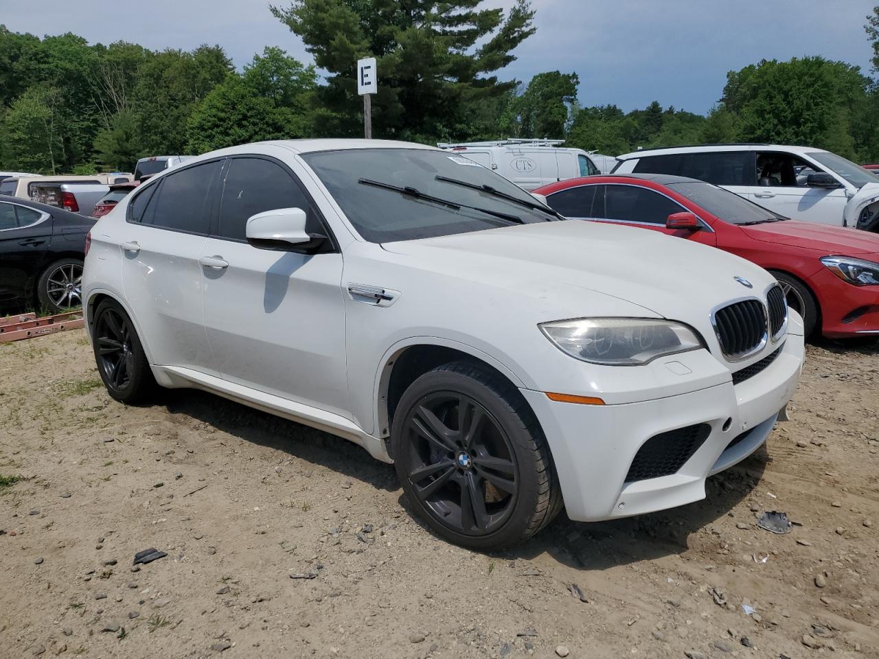 2014 BMW X6 M vin: 5YMGZ0C54E0C40746