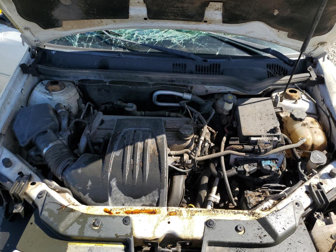 1G1AL55F667674958 2006 Chevrolet Cobalt Lt