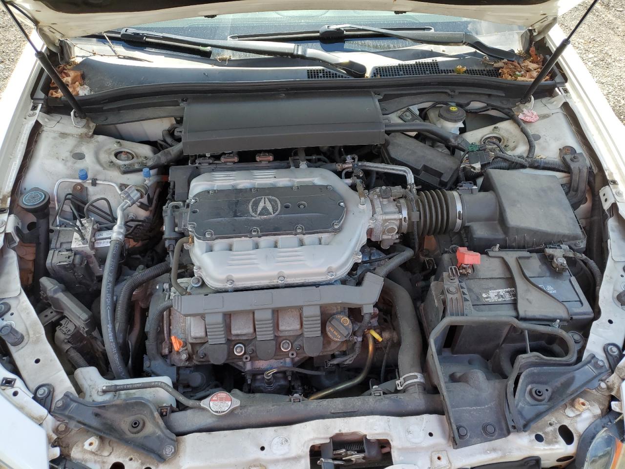 19UUA8F73DA000853 2013 Acura Tl Advance