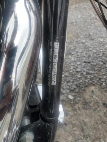 2005 HARLEY-DAVIDSON FLSTCI 1HD1BWB1X5Y055005