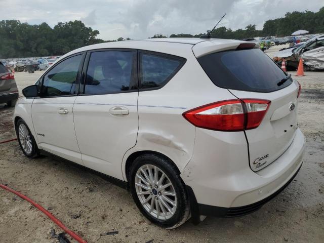 2013 Ford C-Max Se VIN: 1FADP5AU7DL507063 Lot: 58093244