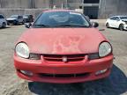 DODGE NEON ES photo