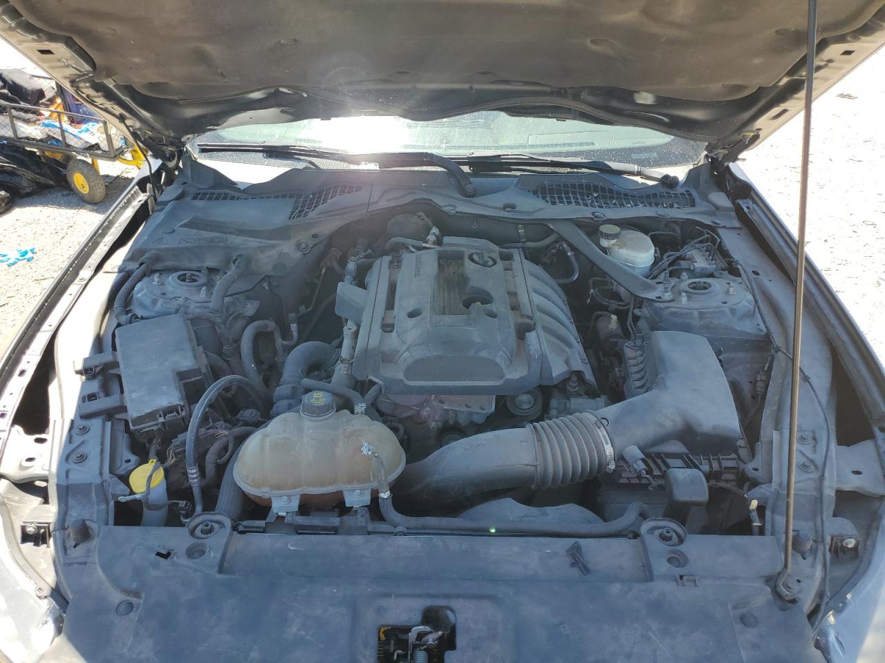 1FA6P8TH3F5362511 2015 Ford Mustang