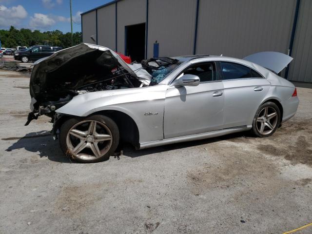 2010 Mercedes-Benz Cls 550 VIN: WDDDJ7CB7AA163993 Lot: 58863884