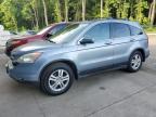 HONDA CR-V EXL photo