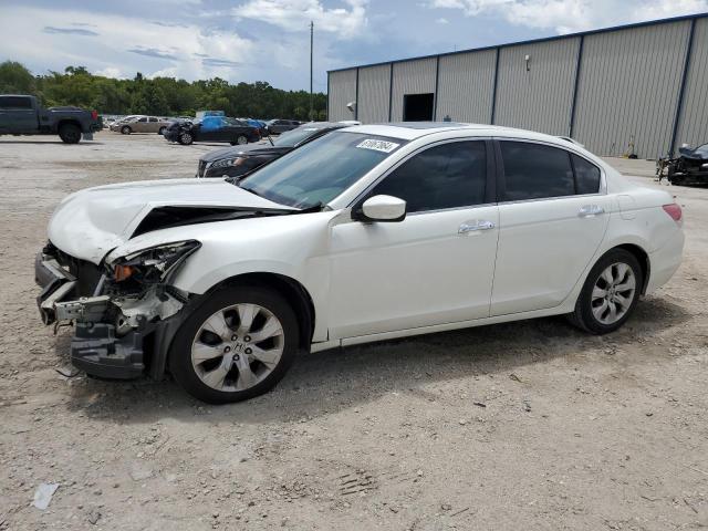 1HGCP36838A023237 2008 Honda Accord Exl