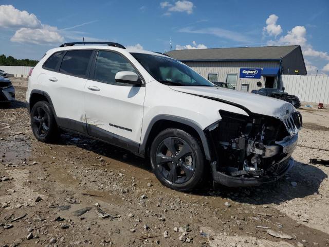 2019 JEEP CHEROKEE L 1C4PJLLB8KD455622