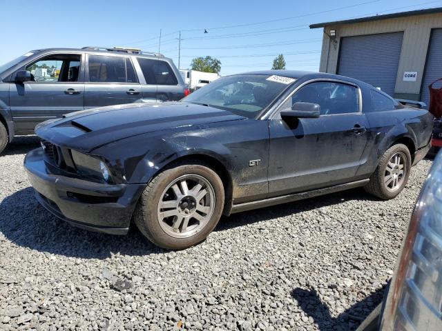 2005 Ford Mustang Gt VIN: 1ZVHT82H455181834 Lot: 59534384