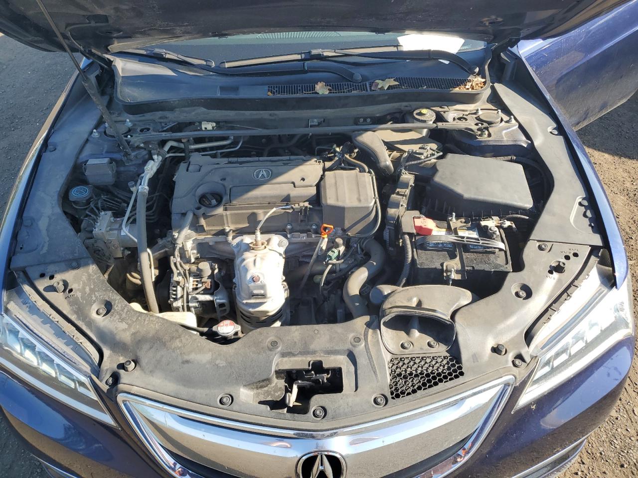 19UUB1F50FA018264 2015 Acura Tlx Tech