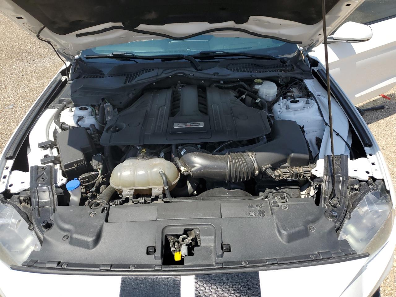 1FA6P8CF5M5113820 2021 Ford Mustang Gt