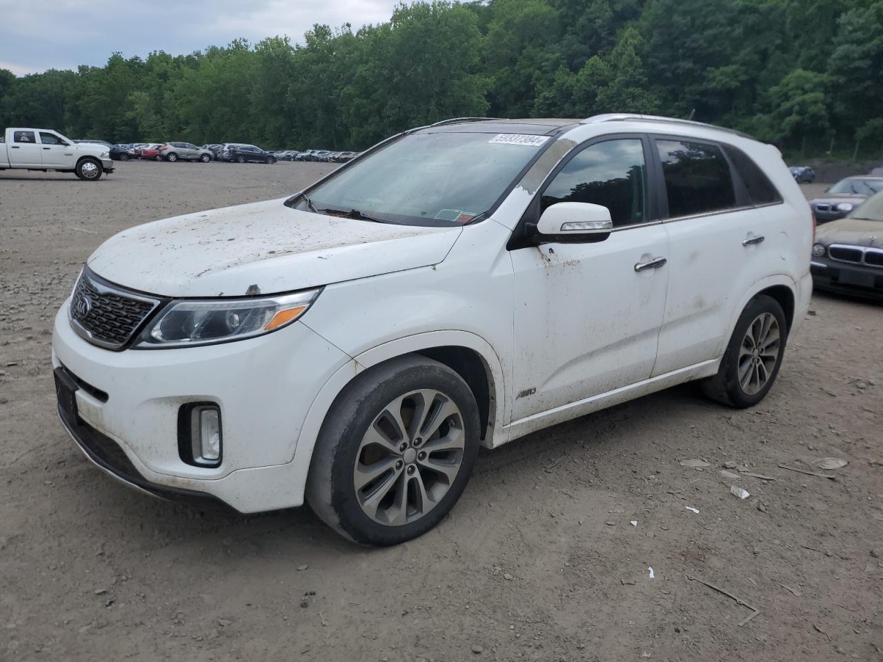 5XYKWDA7XEG496114 2014 Kia Sorento Sx