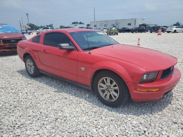 2009 Ford Mustang VIN: 1ZVHT80NX95135648 Lot: 56878514