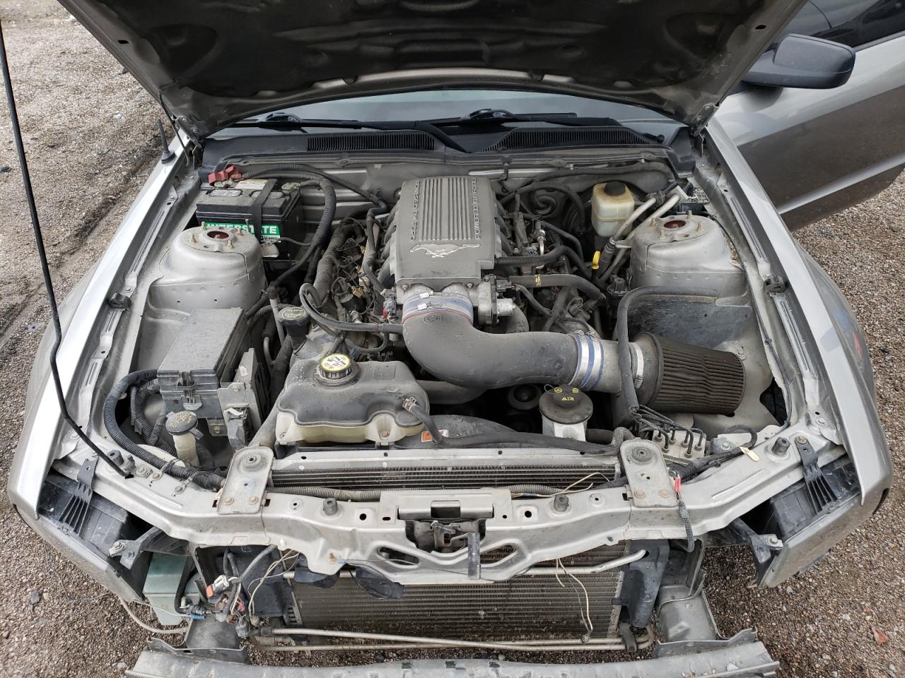 1ZVHT82HX85192096 2008 Ford Mustang Gt