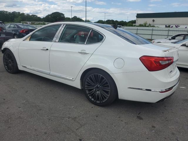 2014 Kia Cadenza Premium VIN: KNALN4D74E5141660 Lot: 58384984