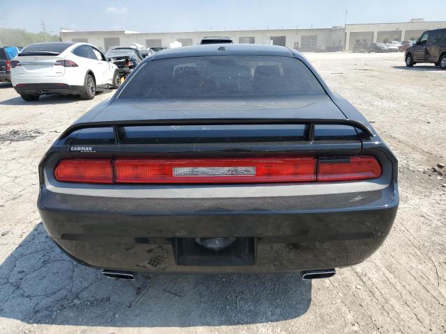 2013 Dodge Challenger R/T VIN: 2C3CDYBT1DH739715 Lot: 59899884