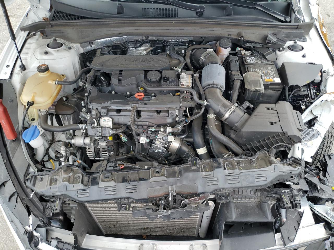 5XXG34J29RG240527 2024 Kia K5 Ex