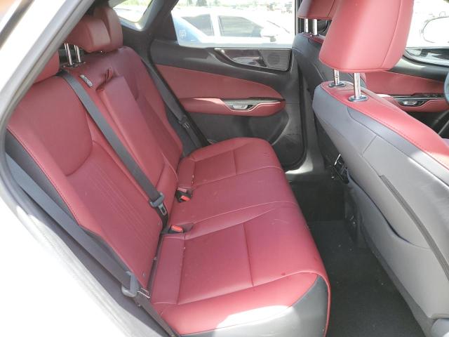 2023 LEXUS NX 250 JTJADCAZ4P5012444