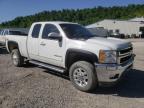 Lot #2700919397 2013 CHEVROLET SILVERADO