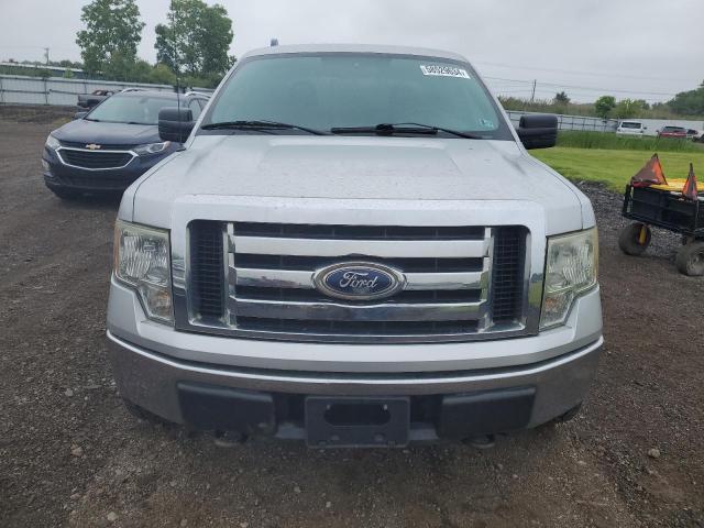 2010 Ford F150 Supercrew VIN: 1FTEW1E83AFA91014 Lot: 58529634