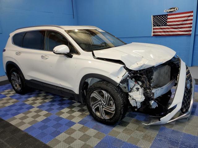 2023 Hyundai Santa Fe Sel VIN: 5NMS24AJ6PH505133 Lot: 59643634