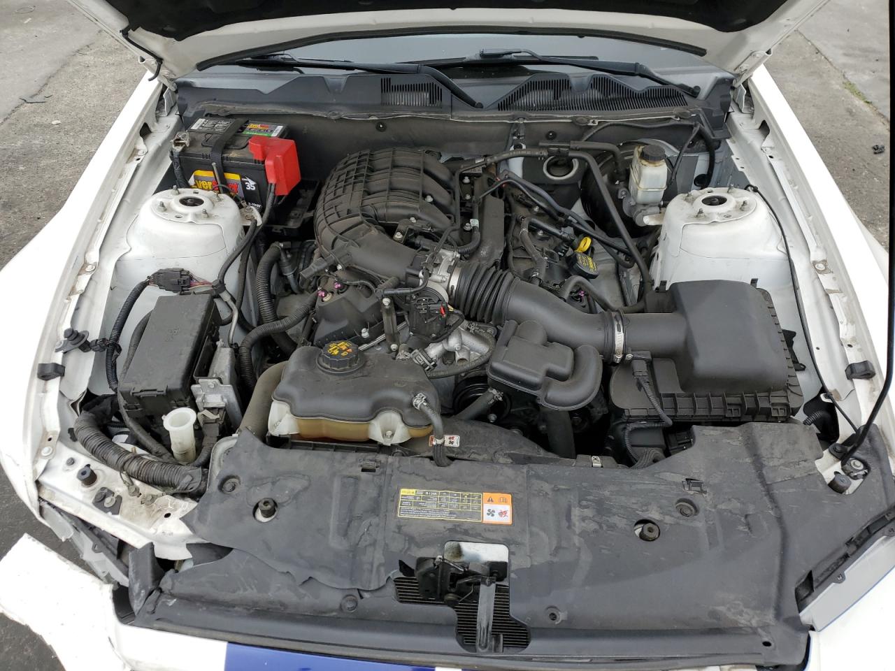 1ZVBP8AM5D5271663 2013 Ford Mustang