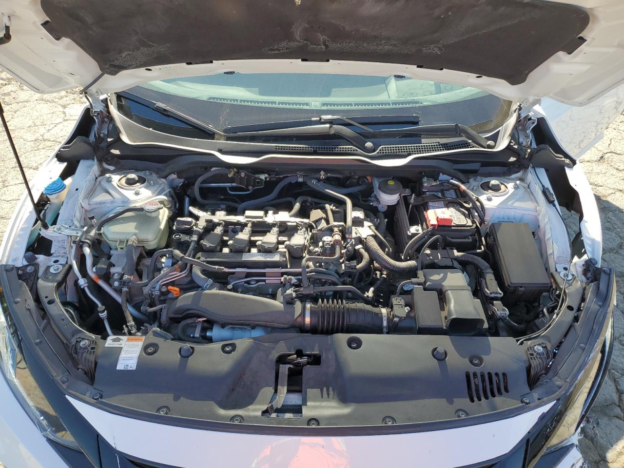 19XFC1F77KE213775 2019 Honda Civic Exl