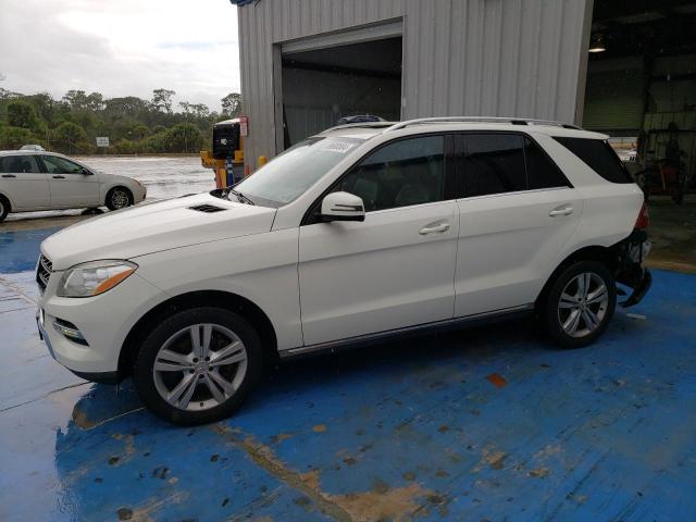 VIN 4JGDA5HB0DA196163 2013 Mercedes-Benz ML-Class, ... no.1