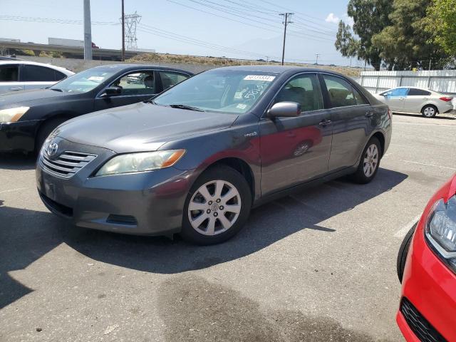 2009 Toyota Camry Hybrid VIN: 4T1BB46K09U080596 Lot: 58131534