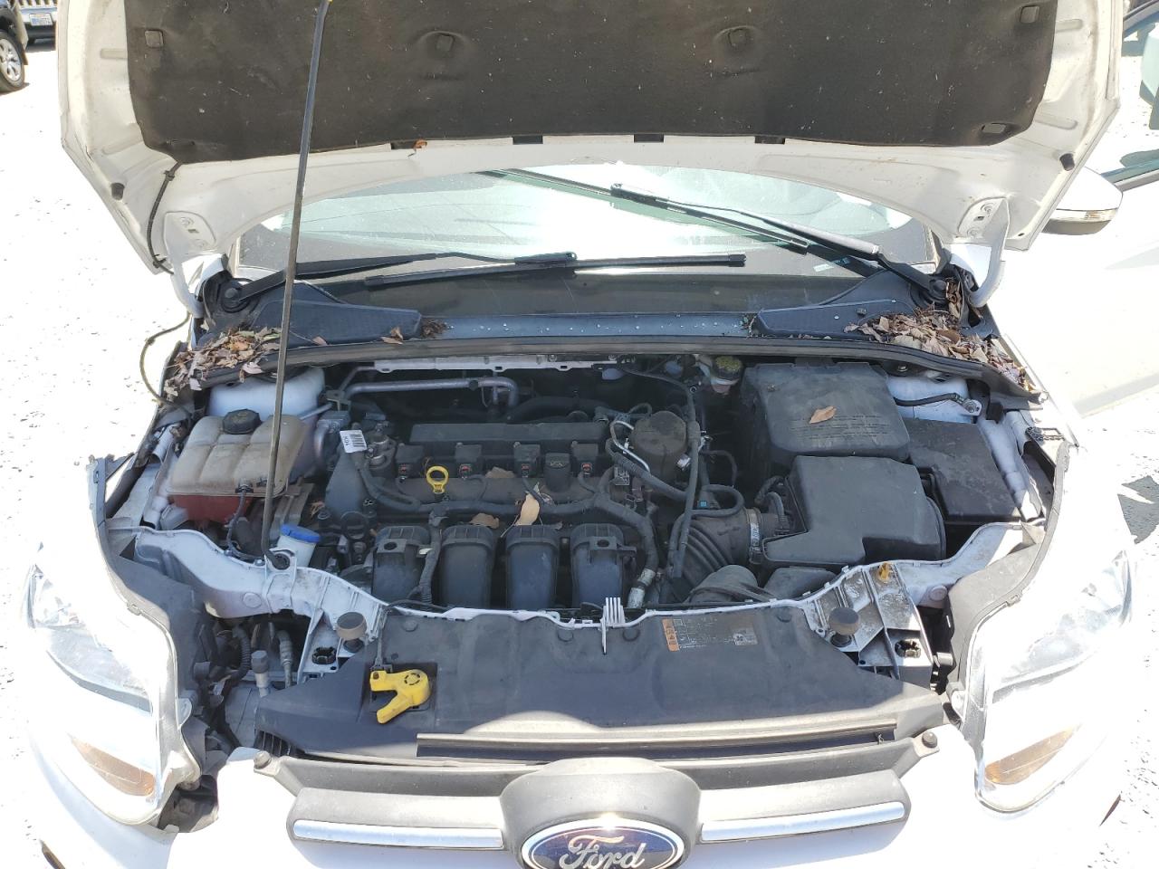 1FADP3F21EL461954 2014 Ford Focus Se