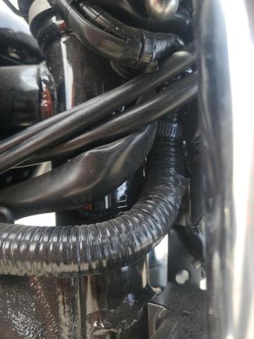 2024 YAMAHA XVS950 CUD JYAVN05E6RA016430