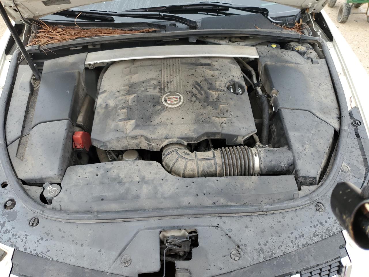 1G6DS1E30D0102315 2013 Cadillac Cts Premium Collection