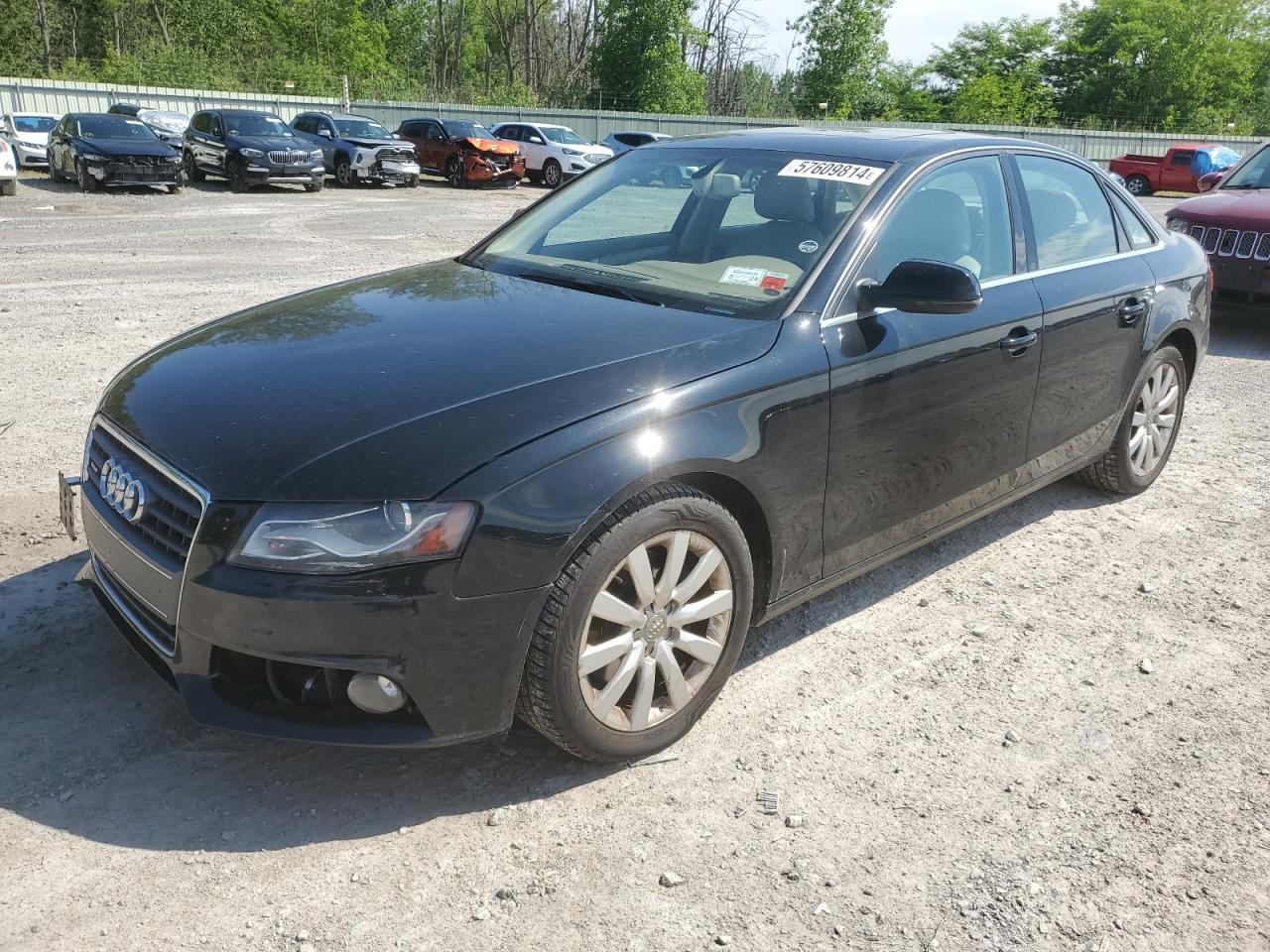 WAUHFBFL6BN033859 2011 Audi A4 Premium Plus