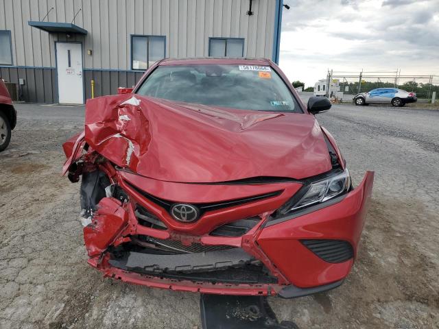 VIN 4T1B11HK7KU165939 2019 Toyota Camry, L no.5