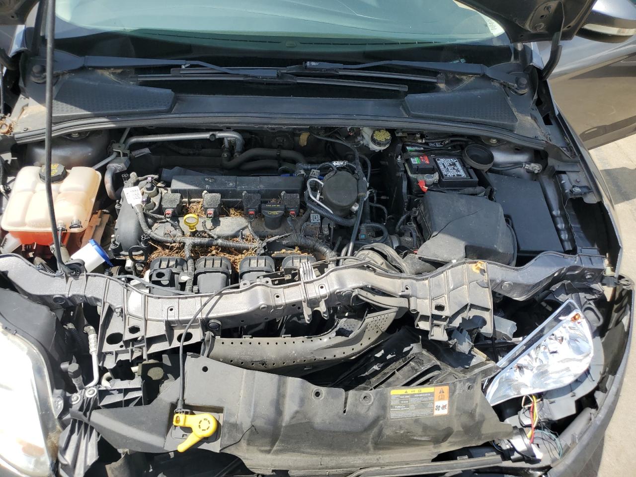 1FADP3F29EL263364 2014 Ford Focus Se