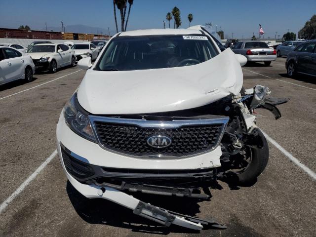 2014 Kia Sportage Base VIN: KNDPB3AC2E7628823 Lot: 58709224