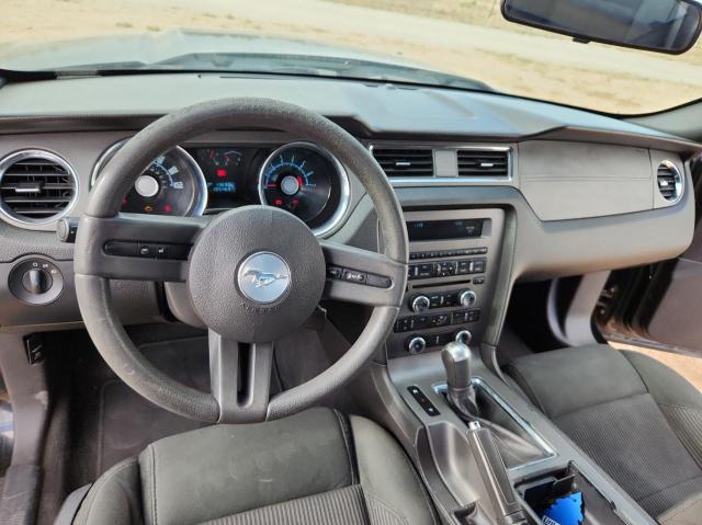 1ZVBP8AN4A5138123 2010 Ford Mustang