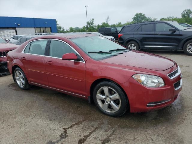 2011 Chevrolet Malibu 1Lt VIN: 1G1ZC5E15BF312305 Lot: 55618184