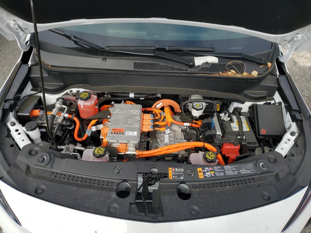 1G1FY6S08P4120515 2023 Chevrolet Bolt Euv Lt