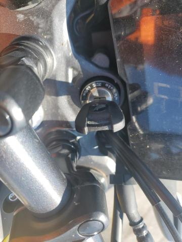 2024 HONDA CBF300 NA MLHNC5557R5400231