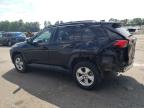 TOYOTA RAV4 XLE photo