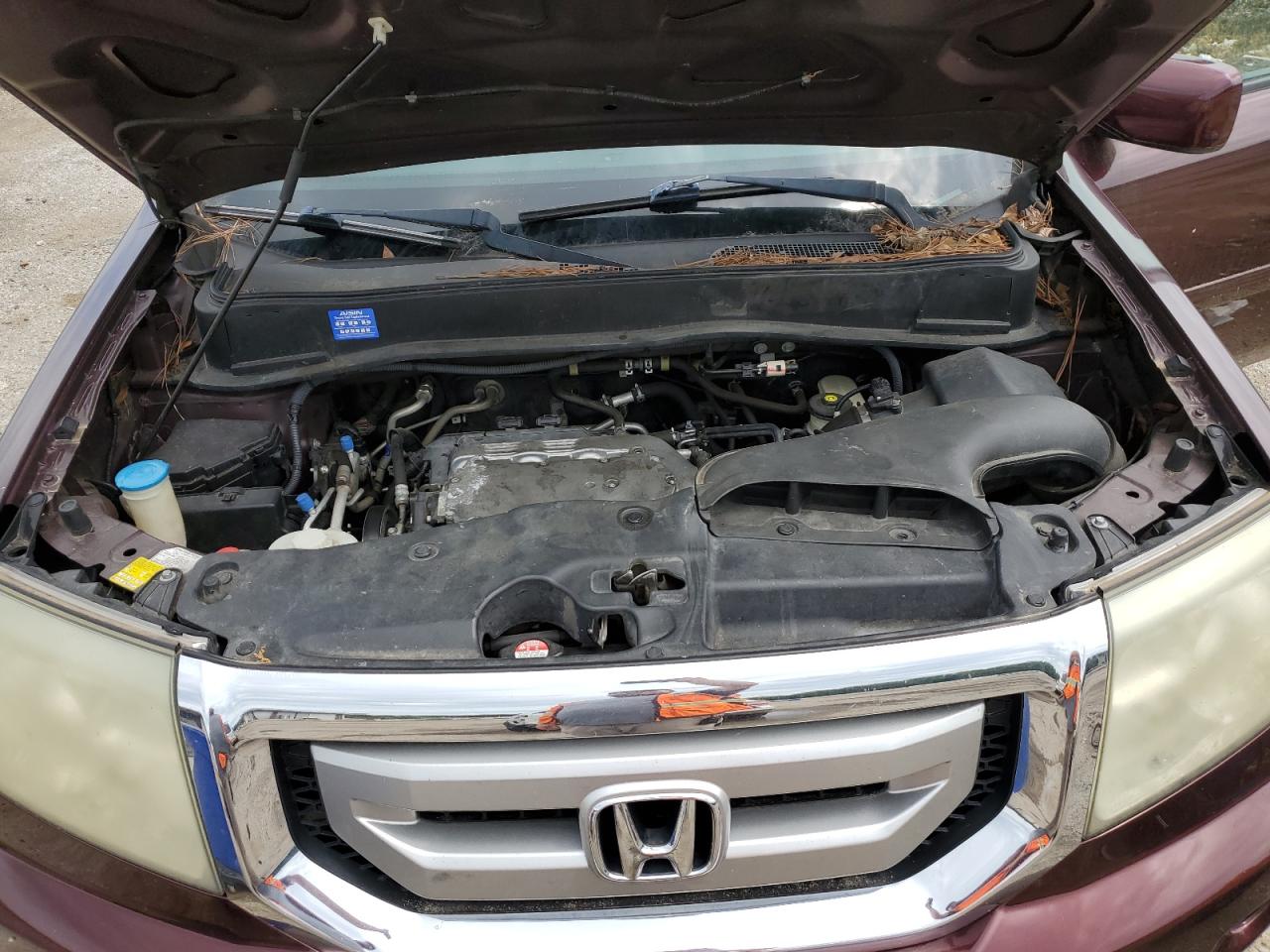 5FNYF38599B020510 2009 Honda Pilot Exl