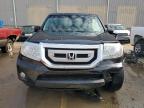 HONDA PILOT EXL photo