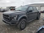 2019 FORD F150 RAPTO - 1FTFW1RG9KFC08358
