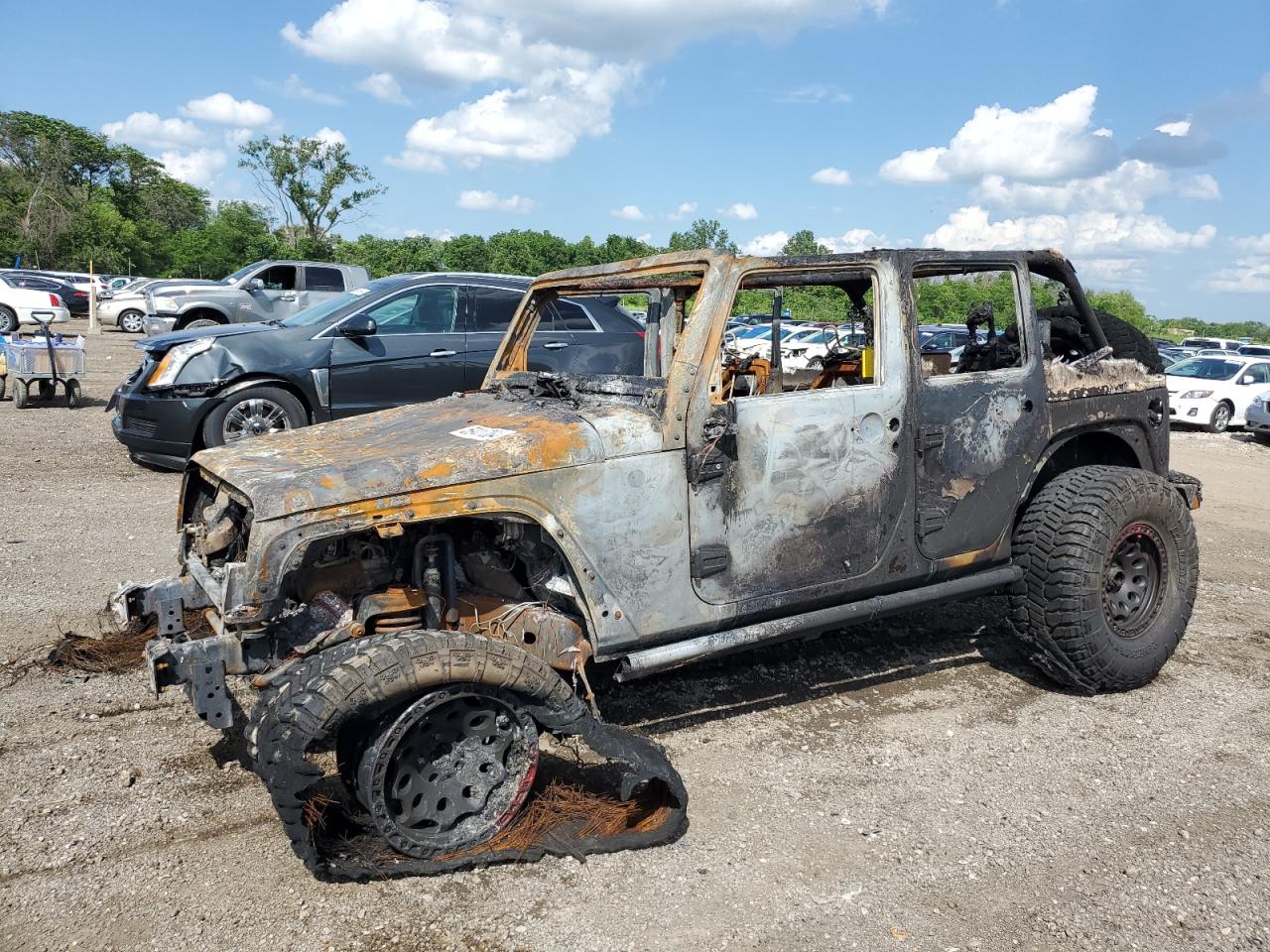 Lot #2828365334 2016 JEEP WRANGLER U