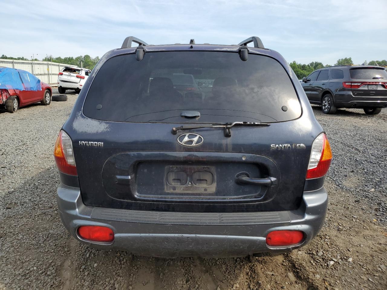 KM8SB12B94U787046 2004 Hyundai Santa Fe Gl