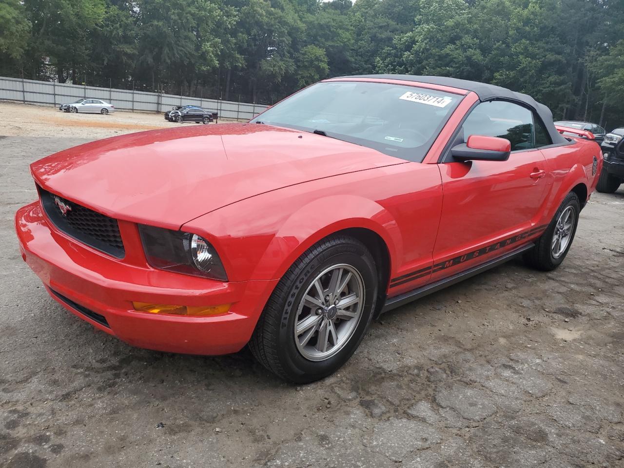 1ZVFT84N155243782 2005 Ford Mustang