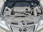 LEXUS IS 250 photo