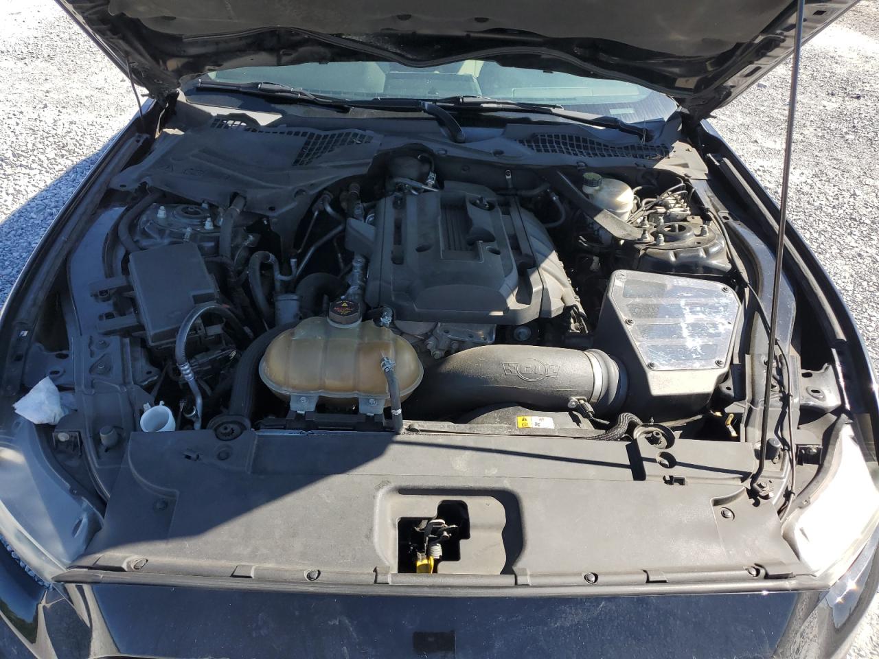 1FA6P8TH9F5316567 2015 Ford Mustang