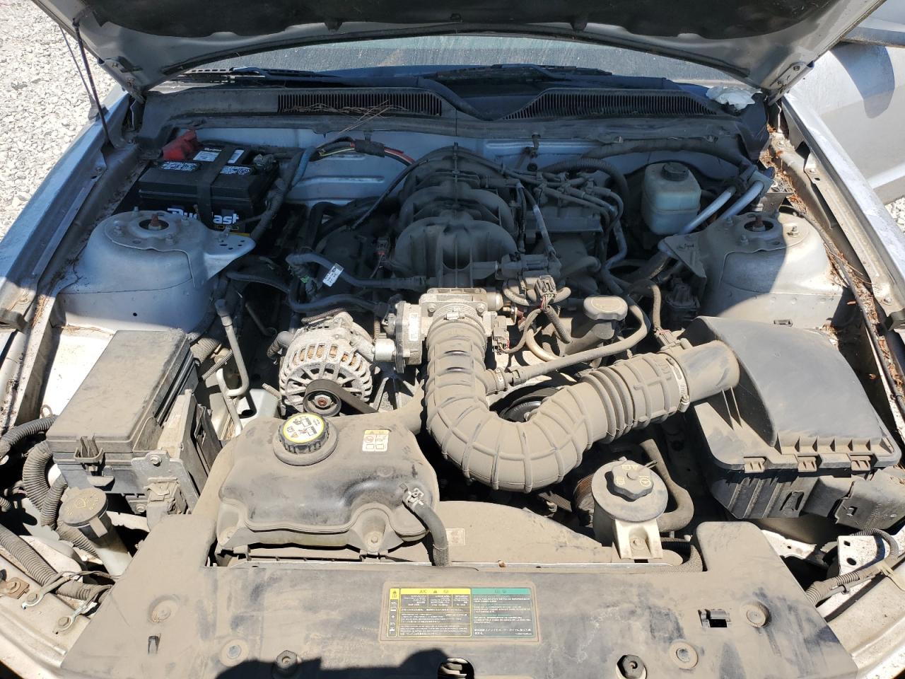 1ZVFT80NX65248616 2006 Ford Mustang