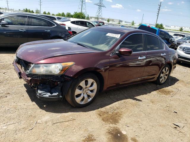 Vin: 5kbcp3f87ab018927, lot: 57852324, honda accord exl 2010 img_1